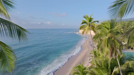 Cinematic-drone-flight-between-high-palm-trees-at-coast-of-Barahona-with-reaching-waves-of-Caribbean-sea-at-sunset-time