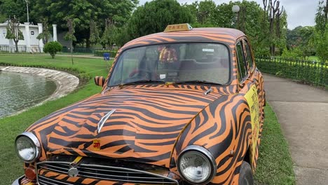 Close-up-shot-of-a-yellow-taxi-with-black-stripes-advertising-tiger-conservation,-been-parked-along-a-lakeside-surrounded-by-green-vegetation-in-Kolkata,-India