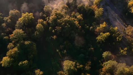aerial-drone-bird-zenithal-view-of-a-forest-with-mist-at-golden-hour-in-morning,-hill-and-mountain-in-background,-tuscany,-italy,-europe