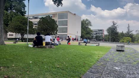 Dogs-having-a-great-time-under-the-sun-in-University-City,-Mexico-City