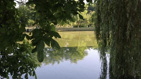 Peekaboo-view-of-fishing-pond-through-leaves,-branches-at-outdoor-event-venue