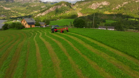 Tractor-Cortando-Ensilaje-De-Hierba-En-El-Campo-Cerca-De-Stavanger-En-Noruega