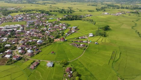 Eine-Luftaufnahme-Von-Spinnennetz-Reisfeldern-Und-Einem-Dorf-In-Einer-Grünen-Landschaft