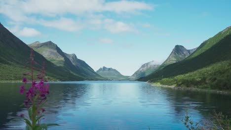 Calm-Fjord-And-Scenic-Mountains-In-Gryllefjord,-Senja,-Norway---timelapse