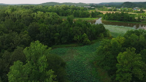 Cook's-landing-park-peaceful-scenery-seen-from-flying-aerial-drone,-backwards