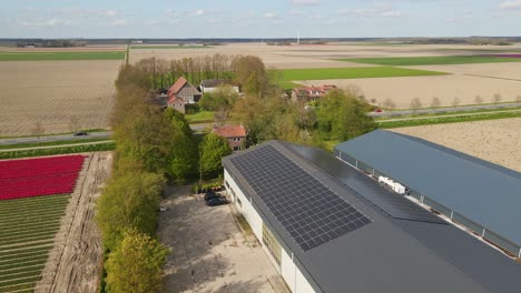 Niederländischer-Bauernhof-Mit-Tulpen-Und-Sonnenkollektoren