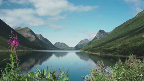 Montañas-Que-Reflejan-El-Tranquilo-Fiordo-De-Gryllefjord,-Senja,-Noruega---Amplia