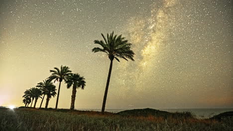 Milky-Way-Galaxy,-Long-Exposure-Hyper-Lapse,-Palm-Trees,-Star-Trails,-Night-Sky,-Ocean