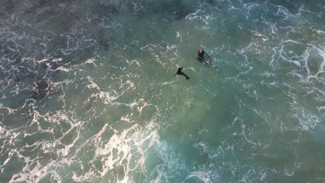 Baby-Seal-Pup-On-The-Beach-With-Foamy-Waves-In-Queensland,-Australia---aerial-top