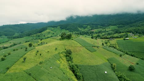 4K-Filmische-Naturluftdrohnenaufnahmen-Der-Wunderschönen-Berge-Und-Reisterrassen-Von-Ban-Pa-Pong-Piang-Am-Doi-Ithanon-Neben-Chiang-Mai,-Thailand-An-Einem-Bewölkten,-Sonnigen-Tag