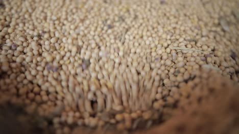 Soya-Beans-Inside-The-Factory-Machine.-Close-Up