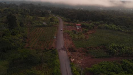 Camino-Pavimentado-A-Través-De-La-Selva-Amazónica-Ecuatoriana:-Un-Paraíso-Natural