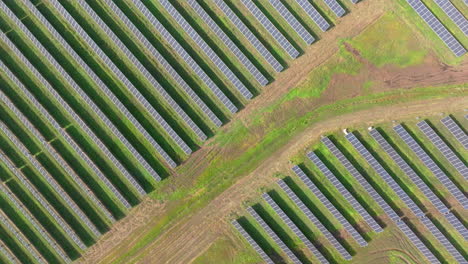 Aerial-overhead-view-of-large-solar-farm-with-many-rows-of-solar-panels-creating-green,-renewable-energy-to-replace-fossil-fuels-and-to-power-clean-transition-to-fight-climate-change