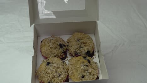 Blueberry-muffins-in-a-gift-box---slow-parallax