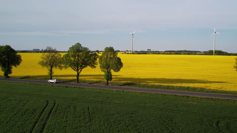 Car-riding-next-to-a-rapeseed-field