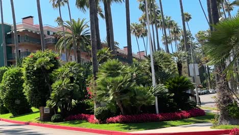 Pov-shot-of-Iconic-The-Beverly-Hills-Hotel-from-a-moving-car-in-Slow-motion