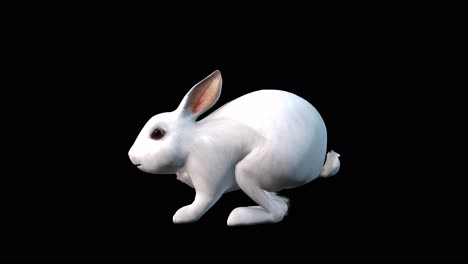 A-rabbit-jumping-hopping-on-black-background-with-alpha-channel-included-at-the-end-of-the-video,-3D-animation,-side-view,-animated-animals,-seamless-loop-animation
