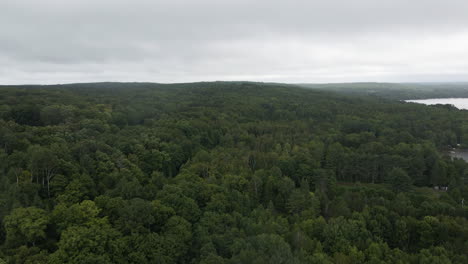 Overview-of-dense-canadian-mixed-tree-canopy-forest-on-cloudy-grey-sky-day