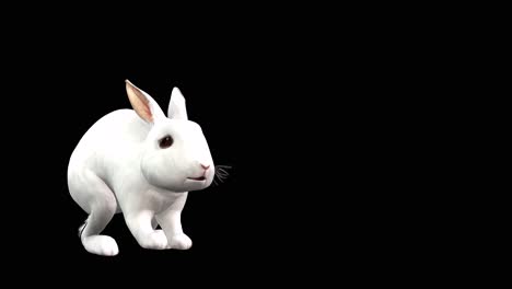 A-rabbit-jumping-hopping-on-black-background-with-alpha-channel-included-at-the-end-of-the-video,-3D-animation,-perspective-view,-animated-animals,-seamless-loop-animation