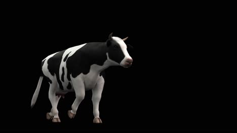 A-cow-walking-and-passing-by-on-black-background-with-alpha-channel-included-at-the-end-of-the-video,-3D-animation,-perspective-view,-animated-animals,-seamless-loop-animation