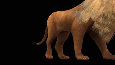 A-lion-walking-and-passing-by-on-black-background-with-alpha-channel-included-at-the-end-of-the-video,-3D-animation,-perspective-view,-animated-animals