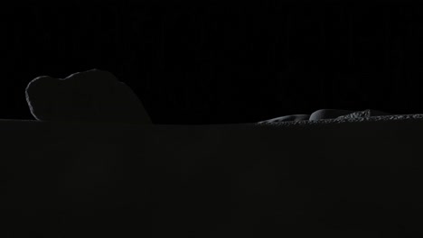 3D-Animation-of-the-Lunar-surface