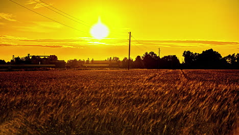 Bright-yellow-sunset-over-a-countryside-field-of-wheat---time-lapse