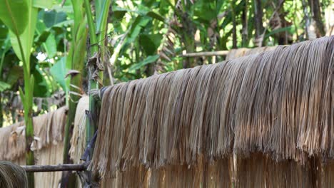 Long-abaca-fibers-hanging-and-drying-on-bamboo-sticks-in-quaint,-tropical-jungle-farm-in-Catanduanes,-Philippines