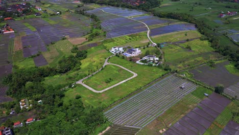 Countryside-Fields-For-Crops-In-Bali,-Indonesia