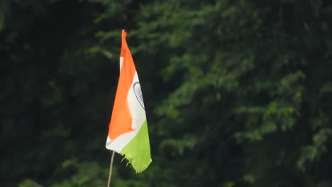 Bandera-Nacional-India-En-El-Viento