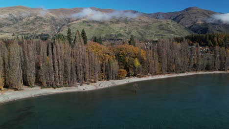 Lonely-Wanaka-Tree-picturesque-spot-during-autumn-on-lakeside