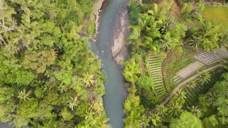 Top-down-view-of-Winding-river-running-through-in-the-middle-of-green-tropical-landscape