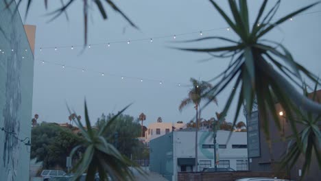 An-establishing-shot-of-Little-Italy-in-San-Diego-at-dusk,-with-palm-plants-in-the-forefront