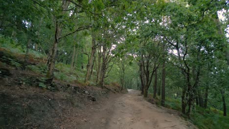 Camino-De-Tierra-En-El-Bosque-Hasta-La-Cascada-De-Aguacaida-En-Pantón,-Lugo,-España