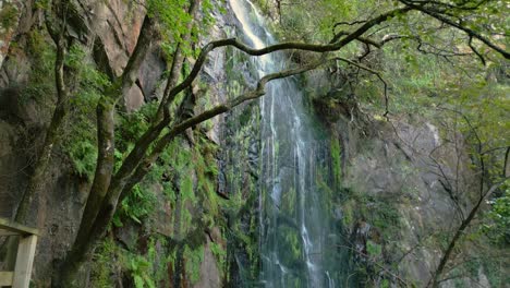 Cascada-En-El-Bosque-Tropical-Con-Plataforma-De-Observación-De-Madera-En-Panton,-Lugo,-España