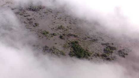 Aerial-View-of-flooded-forest-covered-in-clouds