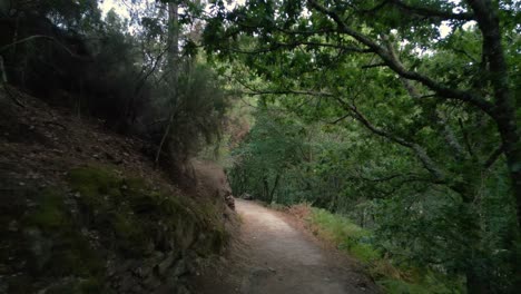 Trails-On-The-Mountain-Hike-Near-Fervenza-de-Augacaída-In-Pantón,-Lugo,-Spain