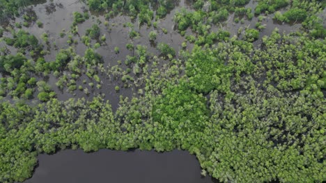 Luftaufnahme-Der-Manialtepec-Mangroven-In-Der-Nähe-Von-Puerto-Escondido,-Oaxaca,-Mexiko