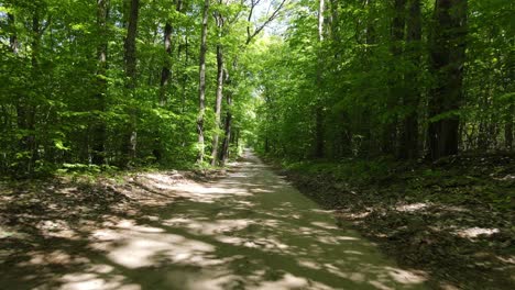 Dirt-road-leading-through-dense-forest-on-bright-sunny-day,-dolly-forward-view
