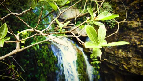 Sehr-Schöner-Wasserfall-Mit-Sonnenlicht,-Das-Durch-Die-Baumblätter-In-Algerien-Fällt
