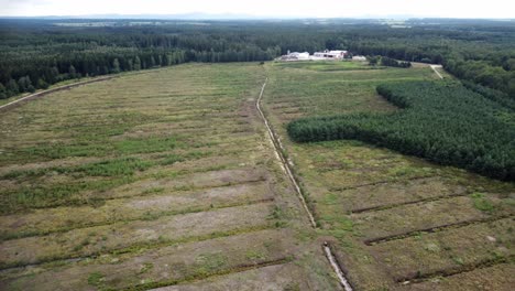 Extensive-post-mining-area.-Peat.-Forest-regeneration.-Drone