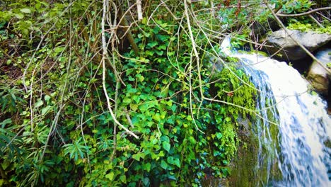 Sehr-Schöner-Wasserfall-Mit-Sonnenlicht,-Das-Durch-Die-Baumblätter-In-Algerien-Fällt