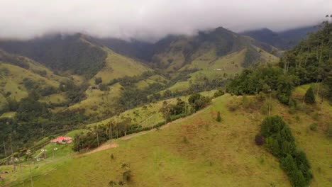 Rural-Cocora-valley-with-wax-endemic-palm-trees