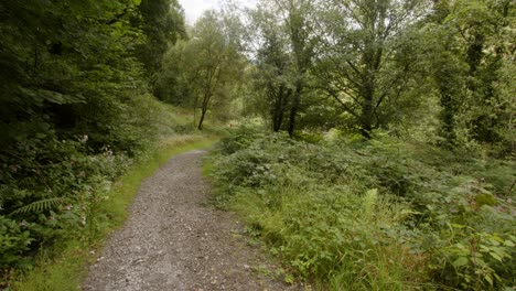 Wide-shot-of-Forest-path-by-the-Afan-river-in-the-AfanValley