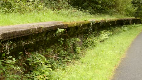 wide-shot-of-Overgrown-Disused-Railway-Platform-at-Cynonville-Station