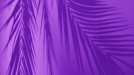 Tropical-palm-tree-leaves-against-purple-background.-vertical