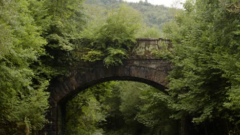 Mid-shot-of-Disused-Railway-bridge-at-Cynonville-Station