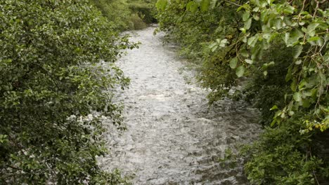 Wide-shot-of-Afan-river-with-trees-both-sides-in-the-Afan-Valley