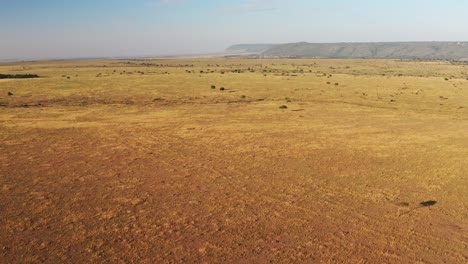 Masai-Mara-Aerial-drone-shot-of-Africa-Landscape-Scenery-from-Above,-Wide-Open-Savanna,-Vast-Plains-and-Endless-Open-Grassland,-Beautiful-High-Up-View-of-Maasai-Mara-in-Kenya,-Establishing-Shot