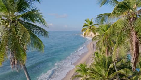 Aerial-View-of-Beach-With-Sea-Waves-And-Coconut-Palm-Trees-In-Summer